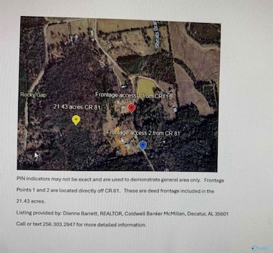 21.43 County Road 81, Danville, AL 35019 - photo 3