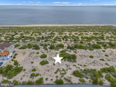 1710 N Bay Shore Dr, Milton, DE 19968 - photo 7