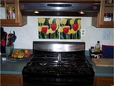 Kitchen. Gas stove