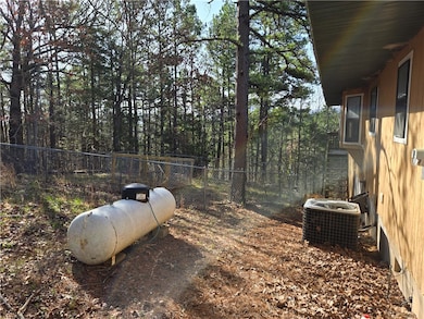 104 Cardinal Ln, Jasper, AR 72641 - photo 3