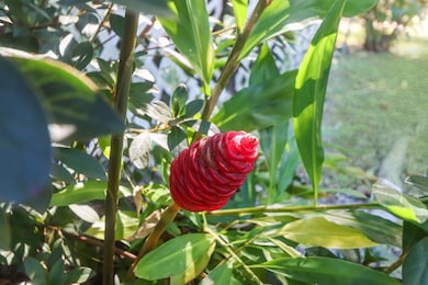 712 Bryant Landing Rd, Wewahitchka, FL 32465 - photo 4