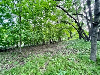 2391 Arrowwood Dr NW, Alexandria, MN 56308 - photo 5