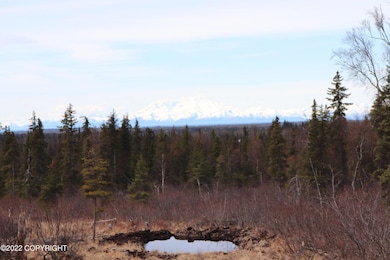 32741 & 32669 Rickard St, Anchor Point, AK 99556 - photo 2