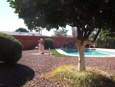 Private backyard