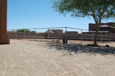 Horse Arena