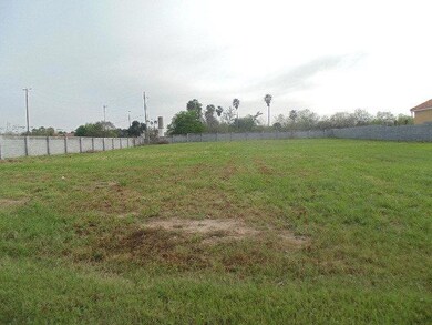 0 Fuente de Gozo, Edinburg, TX 78539 - photo 2