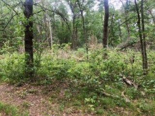 V/L James Rd, Baldwin, MI 49304 - photo 3