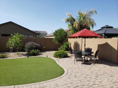 back yard 1