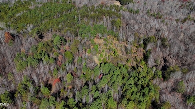 5417 Turner Smith Rd, Browns Summit, NC 27214 - photo 2