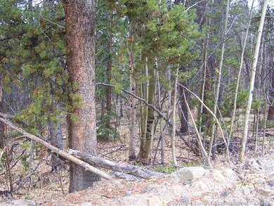 Land/Lot.