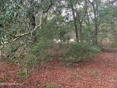 0250 Lenore Ave, Interlachen, FL 32148 - photo 2