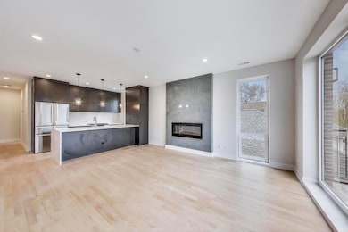 3339 N Ridgeway Ave unit 2N, Chicago, IL 60618 - photo 3