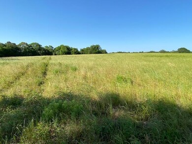 TBD Fm 59, Athens, TX 75148 - photo 4