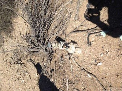 0 Fisher Ave unit IG13238925, Blythe, CA 92225 - photo 6