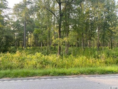 Lots 1-3 State Highway 65, Conway, SC 29526 - photo 3