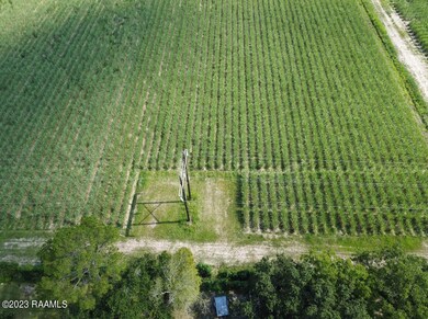 W Menard Rd Land Photo 6