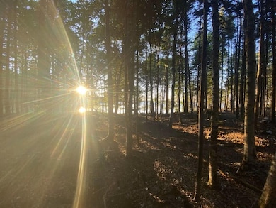 Lot 3 Widerness Way N, Wesley, ME 04686 - photo 3