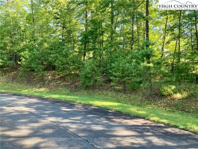 TBD Lady's Mantle Ln, Ferguson, NC 28624 - photo 2