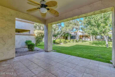 Covered Patio-View