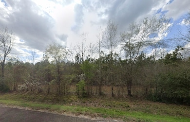 Lakeview Dr, Dayton, TX 77535 - photo 6