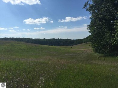 0 E Lincoln Rd unit 1885083, Cedar, MI 49621 - photo 7