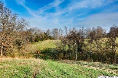 0 Petty Hollow Rd unit 1087976, Prospect, TN 38477 - photo 5