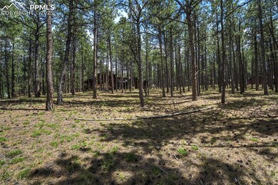 View of local wilderness