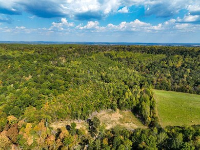 Cedar Grove Rd unit LotWP003, Salem, KY 42078 - photo 5