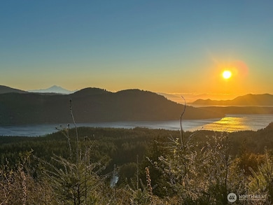 1637 Spring Hill Rd, Eastsound, WA 98245 - photo 2