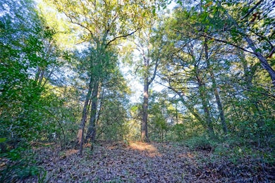 45 Acres Fcr 930, Teague, TX 75860 - photo 6