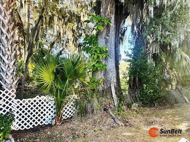 11C Cocos Plumosa Dr, Eustis, FL 32726 - photo 3