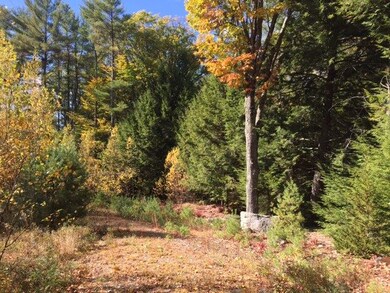Route New Hampshire 104 unit Lot 40, Meredith, NH 03253 - photo 2