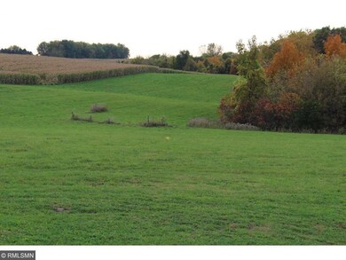 Lot 2 706th St, Pepin Township, MN 55981 - photo 4