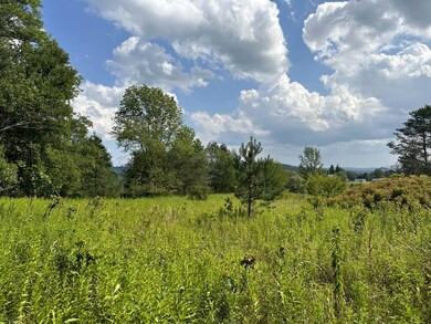 VL White Creek Rd, Friendship, NY - photo 7