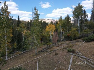 Pink cliff views from lot 110/111- fall