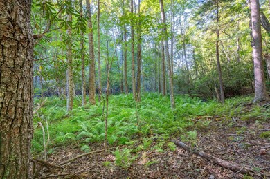 1287 Cox Store Rd SW, Floyd, VA 24091 - photo 5