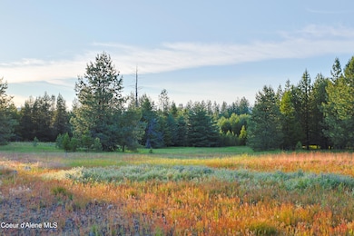 5 Bonnie Ln, Sagle, ID 83860 - photo 3