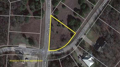 12132 Trailwood Dr & Rolling Oaks Dr, Whitney, TX 76692 - photo 5