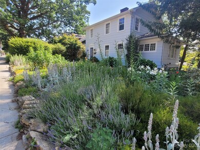 Beautiful Bee Pollinator Landscape