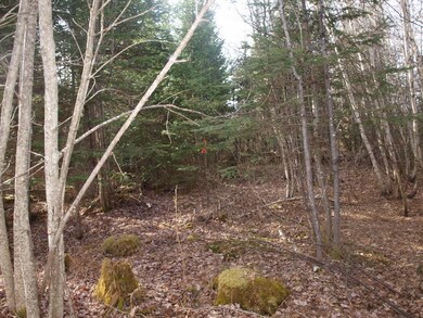 Lot 3 Crystal Ave, Jefferson, NH 03583 - photo 6