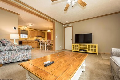 39 Whipkey Ln, Morgantown, WV 26508 - photo 7