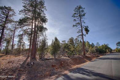 3121 Sage Ln, Show Low, AZ 85901 - photo 2