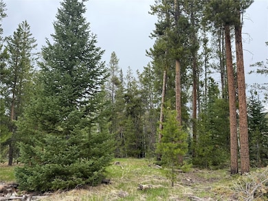 33435 Filly Trail, Oak Creek, CO 80467 - photo 2