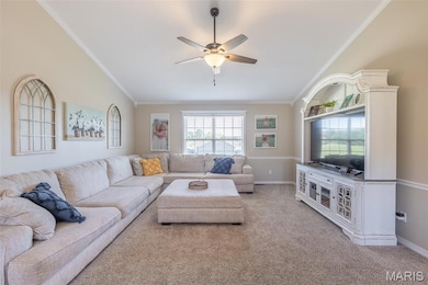 210 Link Dr, Poplar Bluff, MO 63901 - photo 4