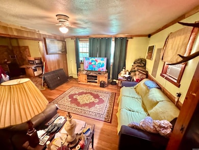 680 Petters Rd, Mountain View, AR 72560 - photo 7