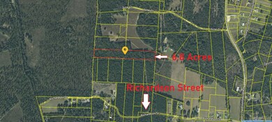 0 Richardson St unit 146658, Cross, SC 29436 - photo 2