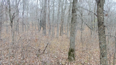 Lot 1 300th St, Sterling Township, WI 54024 - photo 5