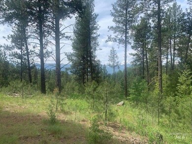 1451 and 1455 Crown Point Pkwy, Cascade, ID 83611 - photo 4