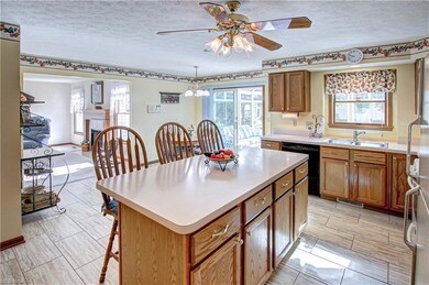 8707 Forest View Dr, Olmsted Falls, OH 44138 - photo 7