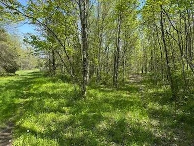 12444 E Lark Rd, Nevins Township, IN 47874 - photo 5